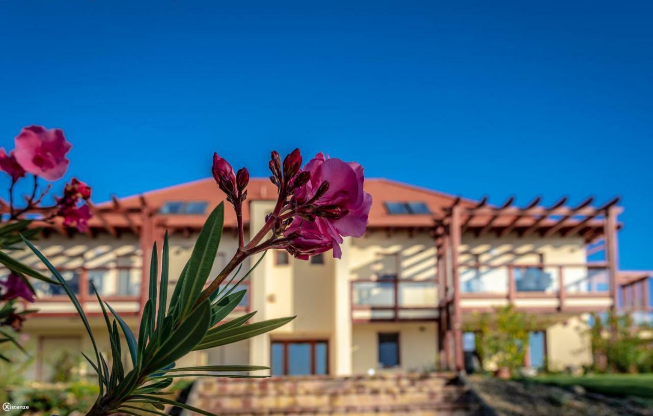 Apartament Aranymandula